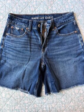 American Eagle Outfitters Blue Denim Frayed Hem Cutoff Shorts